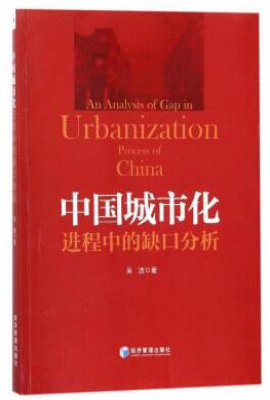 中国城市化进程中的“缺口”分析