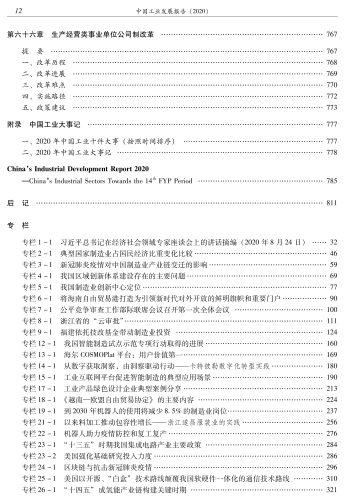 中国工业发展报告（2020）-功_21